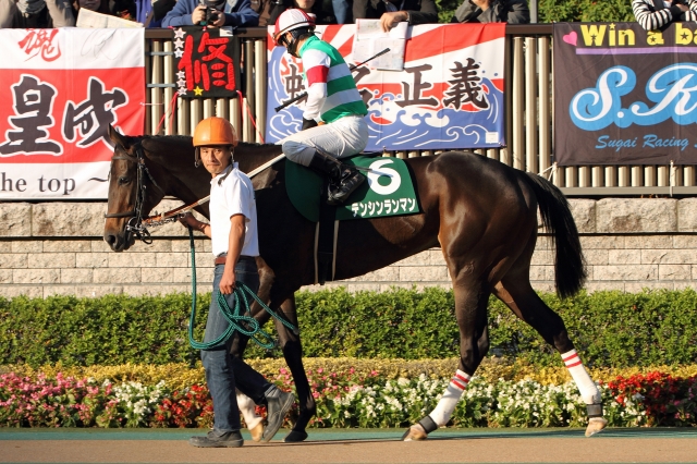 2012年11月3日　アルテミスステークス テンシンランマン