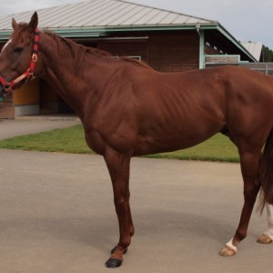 ビッグレッドファーム鉾田にて