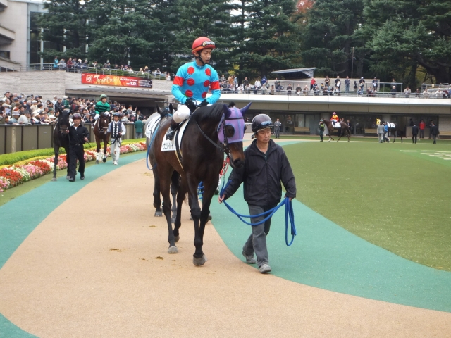 ヘヴンリーハート-パドック(東京.2012年11月3日) ヘヴンリーハート