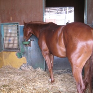 食う♪飲む♪そしてまた食う♪