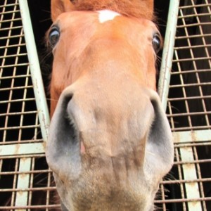 ん？？なあに？？