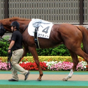 第９戦パドック