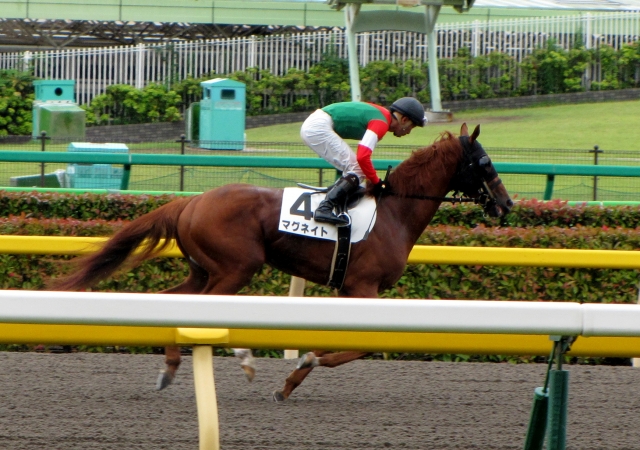 返し馬 マグネイト