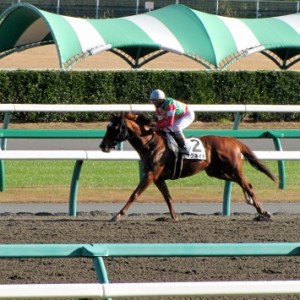 ばてました！！