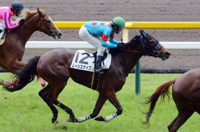 3歳未勝利 ムーンスケイプ