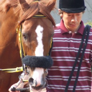 新潟大賞典(G3)-08