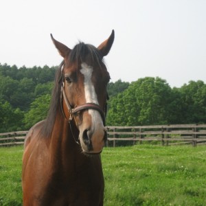 ＢＲＦ明和にて