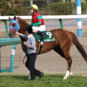 ダービー卿チャレンジトロフィー　本馬場入場