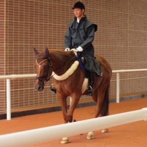 札幌競馬場グランドオープン　はなみち