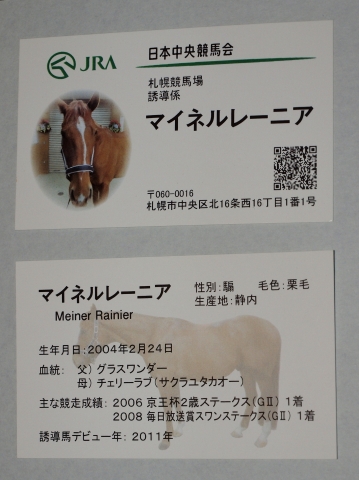 札幌競馬場　誘導馬のお出迎え　名刺 マイネルレーニア
