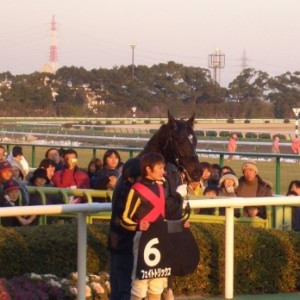 尾張特別ウイナーズサークル