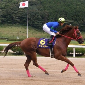 サマーチャンピオン本馬場入場