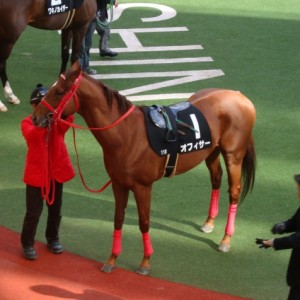 2009/03/14　ポラリスステークス