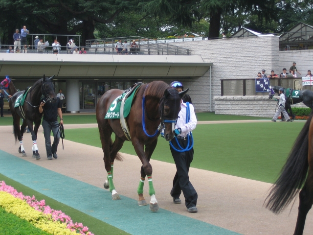 東京オータムＪ クルワザード