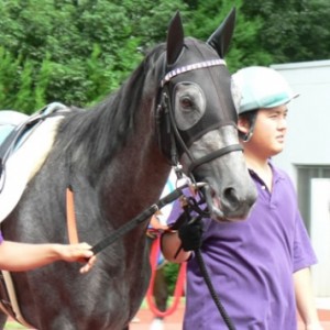 中京「3歳未勝利」