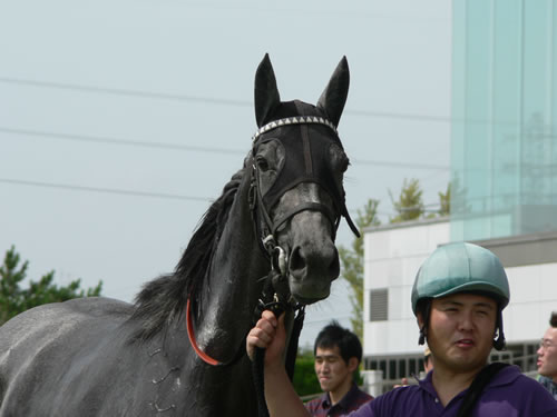 中京「3歳未勝利」 クロノロジスト