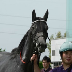 中京「3歳未勝利」
