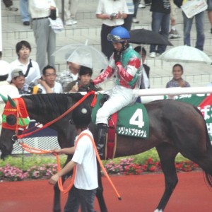 ２００８マーメイドＳGIIIパドック（２００８.６.２２）