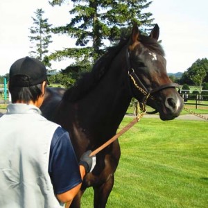 見学ツアーにて