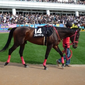 春風ステークス パドック