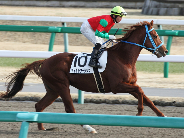 2013/01/06　3歳新馬 マイネルワーシップ