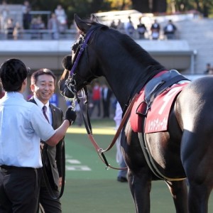 京王杯２歳ステークス