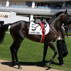 中山　2歳新馬