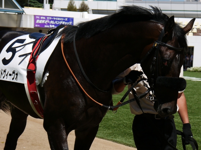 中山　2歳新馬 レッドヴィーヴォ