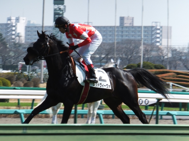 2013-3-9中山７Ｒ　返し馬 レッドヴィーヴォ