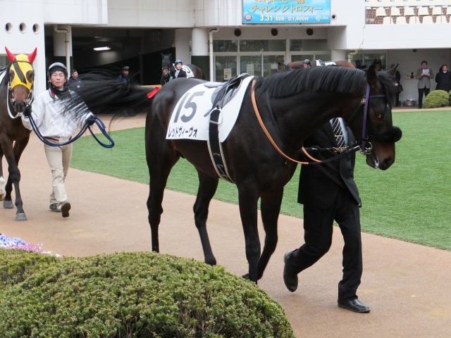 /31 中山６Ｒパドック2 レッドヴィーヴォ