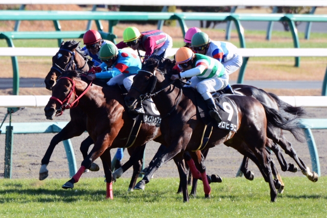 チバテレ杯 ライズトゥフェイム