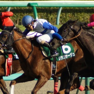 フラワーカップ