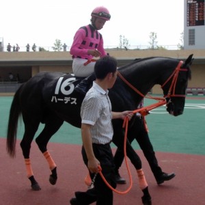 平成25年7月6日中京9Rパドック3