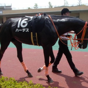 平成25年7月6日中京9Rパドック2