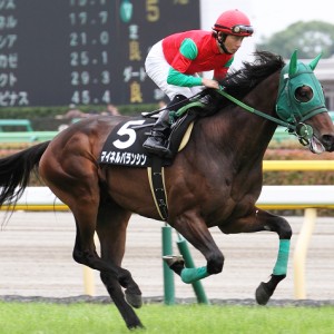 2013/06/08　稲城特別