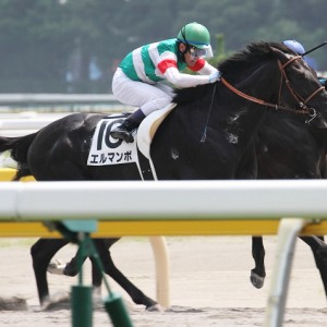 2013/08/11　3歳未勝利　レース