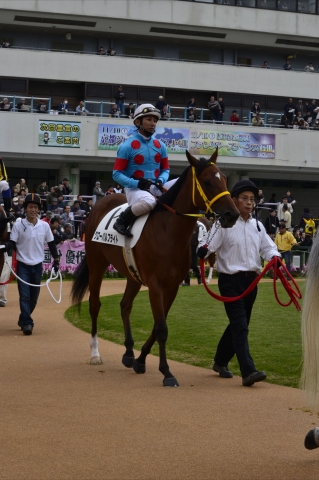 グローバルフライト-パドック(京都、2012月11月3日) グローバルフライト