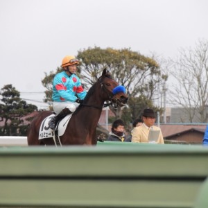 ３戦目　本馬場入場