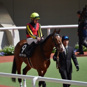 はなみずき賞パドック