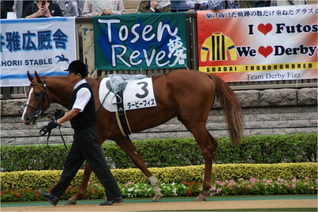 4回東京2日　サラ系2歳 新馬 （1800m　芝） ダービーフィズ