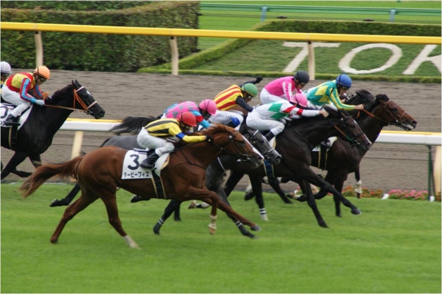 4回東京2日　サラ系2歳 新馬 （1800m　芝） ダービーフィズ