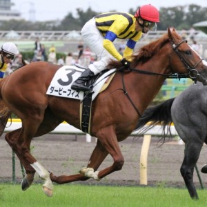 新馬戦　ゴール直後