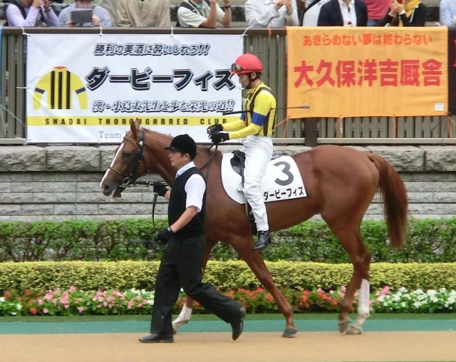 10/7 新馬戦パドック ダービーフィズ