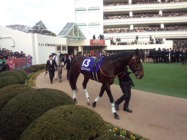 有馬記念 エピファネイア