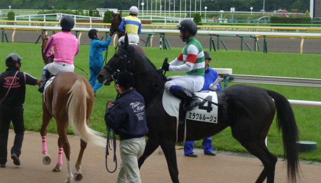 未勝利戦　返し馬 ミラクルルージュ