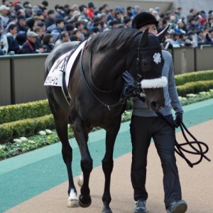 東京　500万下条件　パドック