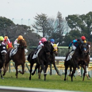 東京　500万下条件　ラスト直線