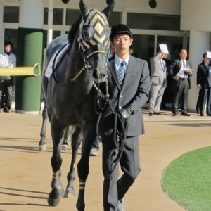 12/9　未勝利戦パドック