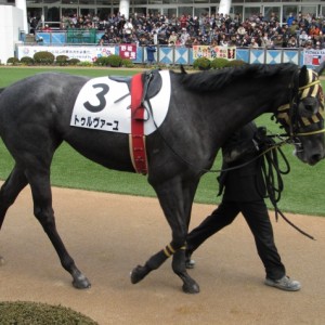 ３月３日　パドック