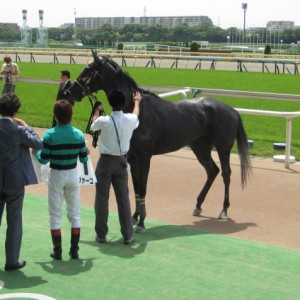 6/1　1R　ウイナーズサークル